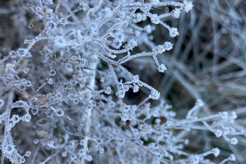PŘEDADVENTNÍ PROŽITKOVÝ WORKSHOP